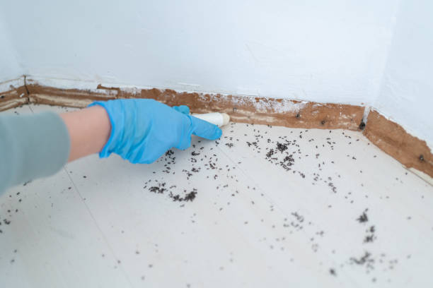 Best Pest Prevention Services  in Byers, CO