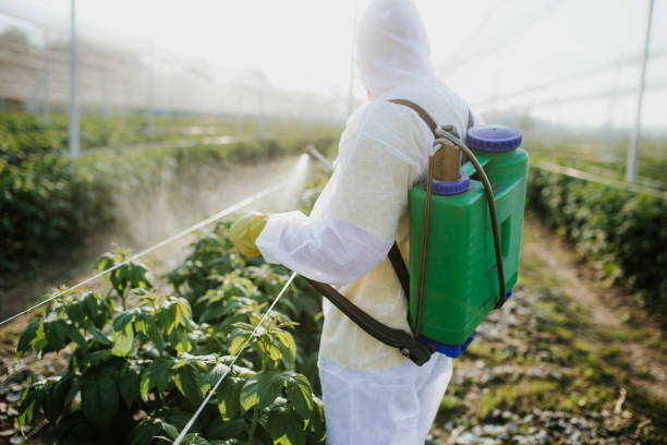 Best Flea Control Services  in Byers, CO